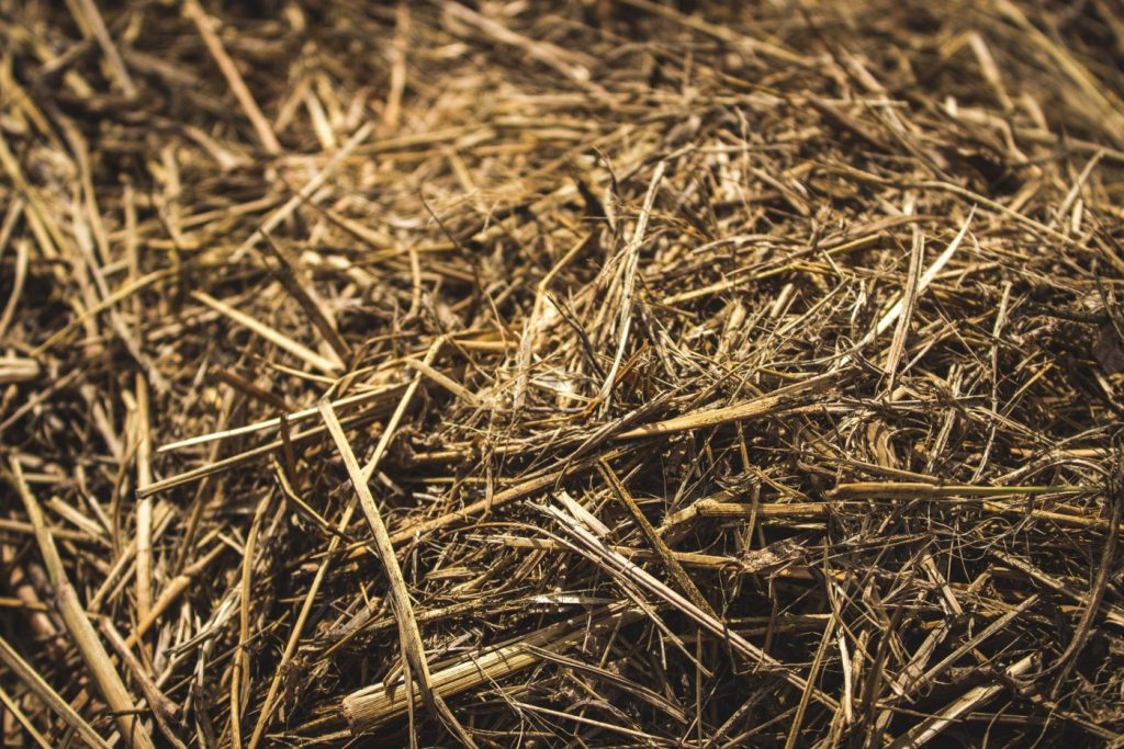 photo of dry hay