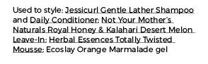 Used to style: Jessicurl Gentle Lather Shampoo and Daily Conditioner; Not Your Mother s Naturals Royal Honey & Kalaha   