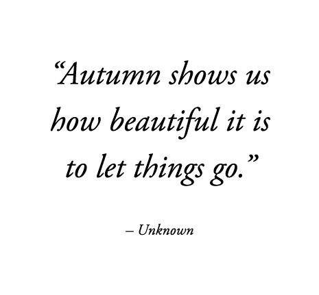  Autumn shows us how beautiful it is to let things go      Unknown